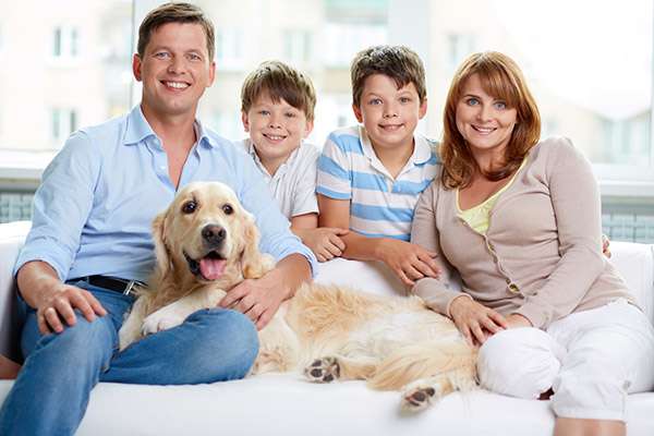 Why Choose One Family Dentist for Everyone in Your Family from Smile at Coconut Grove in Coconut Grove, FL